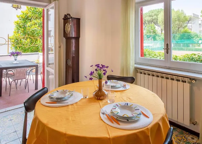 Amina * سورينتو